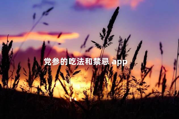 党参的吃法和禁忌 app